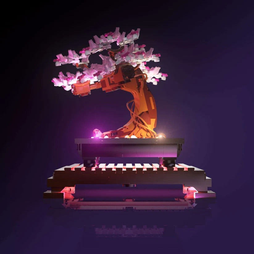 Natura - Bonsai Tree