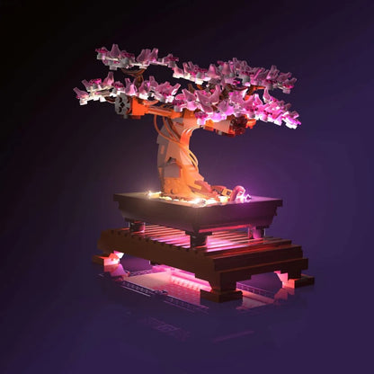 Natura - Bonsai Tree